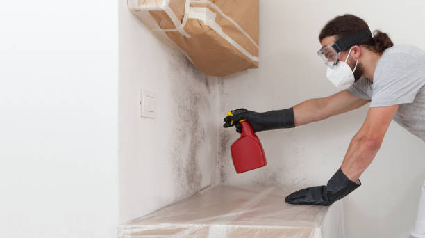 Professional Bathroom Mold Removal technician working in Lavallette, NJ